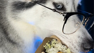 أصبحتُ الآن أكثر تواضعاً، لدرجة أنني لم أعد أستحق حتى التحدث.