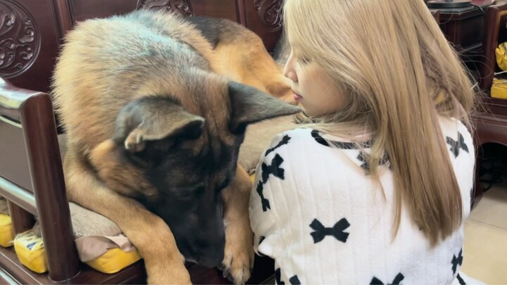 How demeaning is it to own a large dog?
