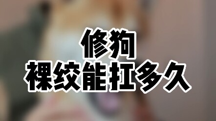 คอร์ดเปลือย