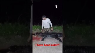 GATOR BITE! Caught on film.