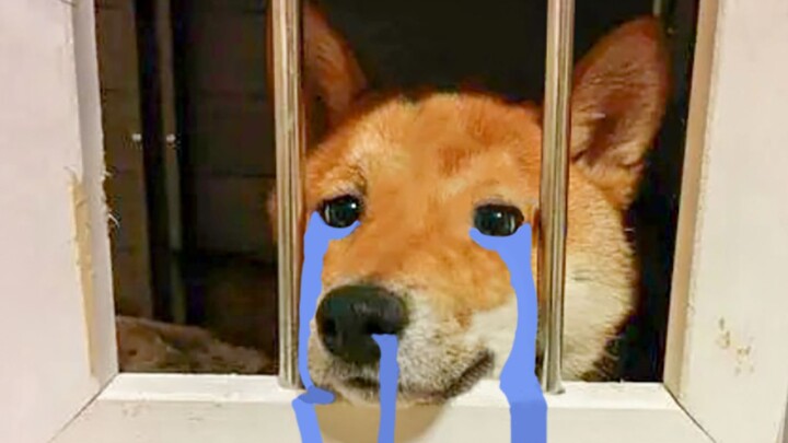 Ketika aku dipenjara di ruang bawah tanah....