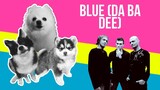 Blue (Da Ba Dee) but it's Doggos and Gabe