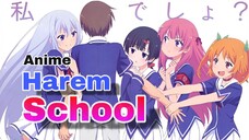 Rekomendasi 5 Anime Harem School Yang Membuat Iri Para Penonton!!