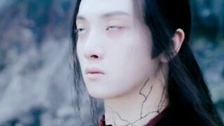 Chúng đều là bóng đèn