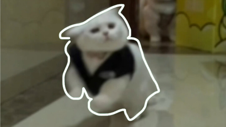 Mèo: Điền vào chỗ trống