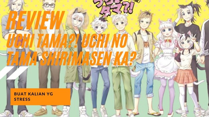 Review "Uchi Tama?! Uchi no Tama shirimasen ka?" Indonesia (yang enteng-enteng aja lah)