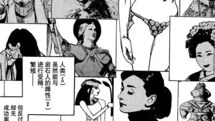 一些没用的简单概括