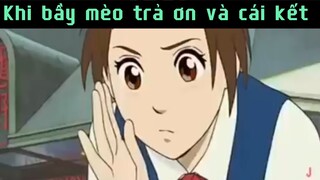 Khi bầy mèo trả ơn và cái kết