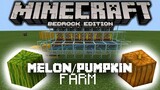 Minecraft Bedrock: How to Make a Melon/Pumpkin Farm