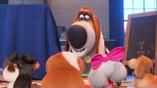 The Secret Life Of Pets 2 2019