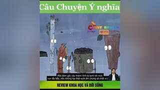 Câu chuyện ý nghĩa vulaci mereviewphim nntreview2 reviewphim