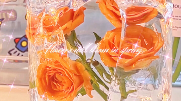 Phiên bản bổ sung của “Hoa Hồng Băng Phong” – Lần này có luôn phần tiếp theo đấy!