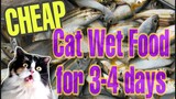 CHEAP AND EASY HOMEMADE CAT FOOD GOOD FOR 3-4 DAYS