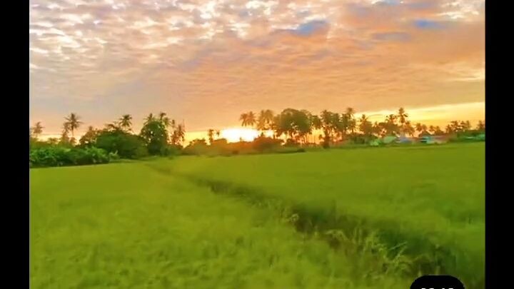 Cảnh miền Quê. chilll