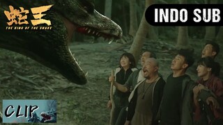 CLIP | Raja ular memimpin ratusan ular untuk menyerang manusia | The King of Snake【INDO SUB】