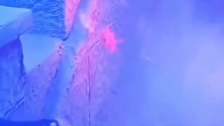 อวิ๋นหัว หนูน้อยอ่านใจได้ป่วนราชสำนัก #พากย์ไทย