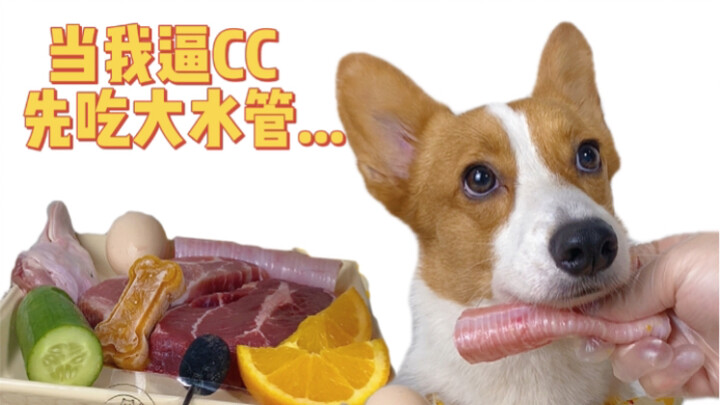 Pelanggaran! Dilarang menggunakan tatapan mengharu biru untuk menyerang! 🚫