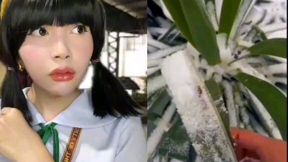 yung may lumalandi sa crush mo:
