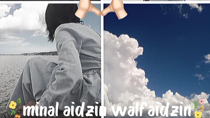 minal aidzin walfaidzin