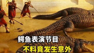 鳄鱼表演节目，不料竟发生意外