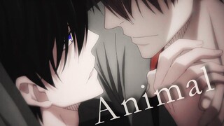 ดาไคจิ - สัตว์ AMV ยาว