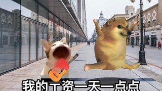 我的工资一天一点点，炒菜都不敢放盐