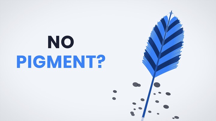 Nature Cheats to Make Blue