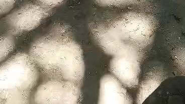 Naka Isa Naman Tau mga toy