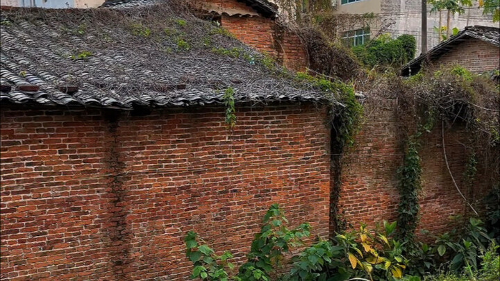 Treasure in the Old House