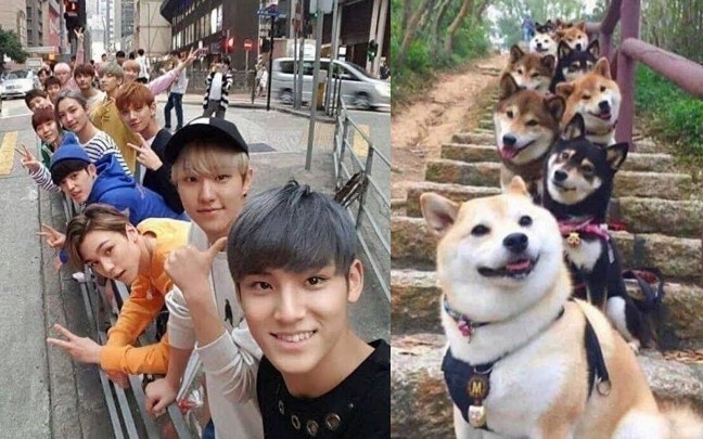 【SEVENTEEN】Kebahagiaan Grup Besar – Bagian Pertama