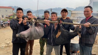 M.ổ Lợn, Dê Ăn Tết - Phong Tục Cuối Năm