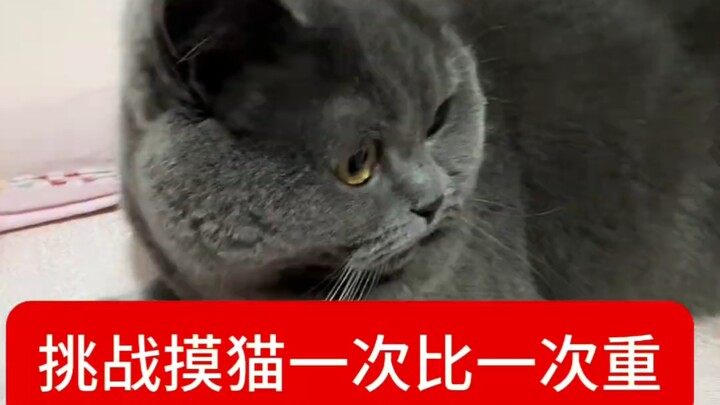 Cat: I’m really impressed.