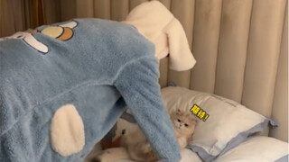 I can't keep being lazy anymore—let's exercise together with my cat!