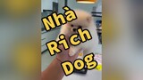 Nhà của rich doggg LearnOnTikTok thucung
