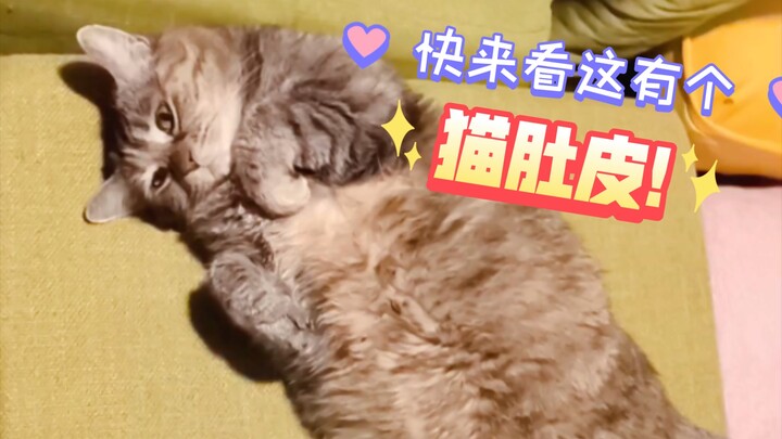 แม้แต่หมาข้างถนนก็แค่นี้เอง