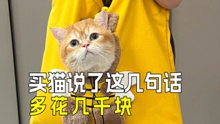 Cat Buying Prevention