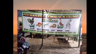 pergi ke warung malah ada jualan dino