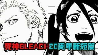 【死神Bleach】20周年纪念全新篇章  萨尔阿波罗再次登场  山本 卯之花 浮竹或将进入地狱  聊一聊这部短篇中的一些有趣场景