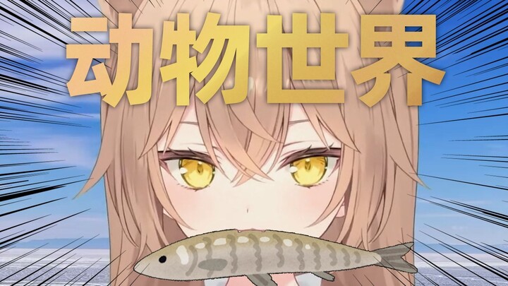 【切片熟肉】别聊了先吃鱼吧！小狮子的约会竟成了动物世界！？【るるどらいおん】
