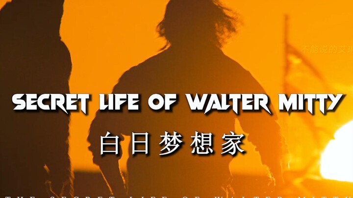 “你找到了自己的25号底片了嘛”——【白日梦想家】