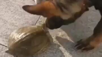 #funny นี่แนะฮาๆ#ขําขํา