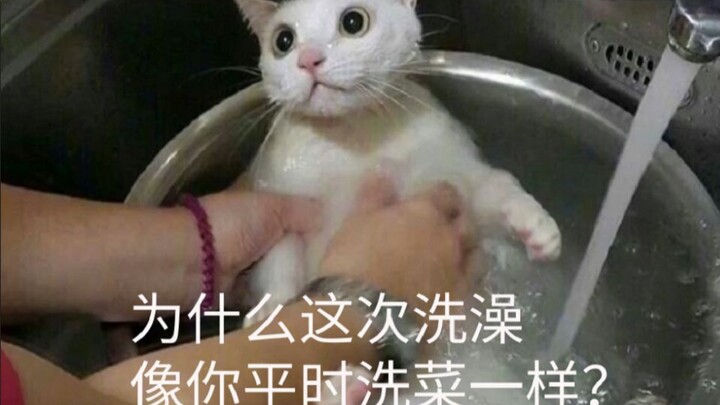 Wait, is this them taking a bath?