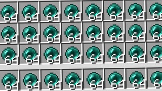 This is the end pearl!