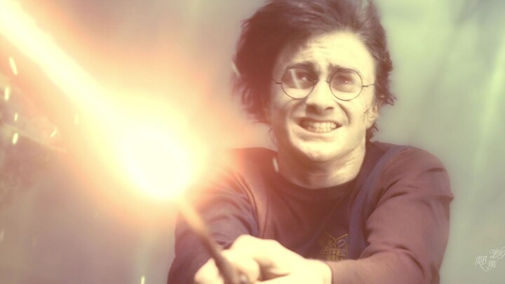 Voldemort: "Tak seorang pun memberitahuku tongkat ini tak dapat membunuhnya."