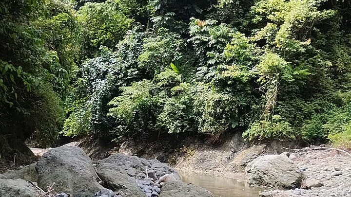 maasin falls