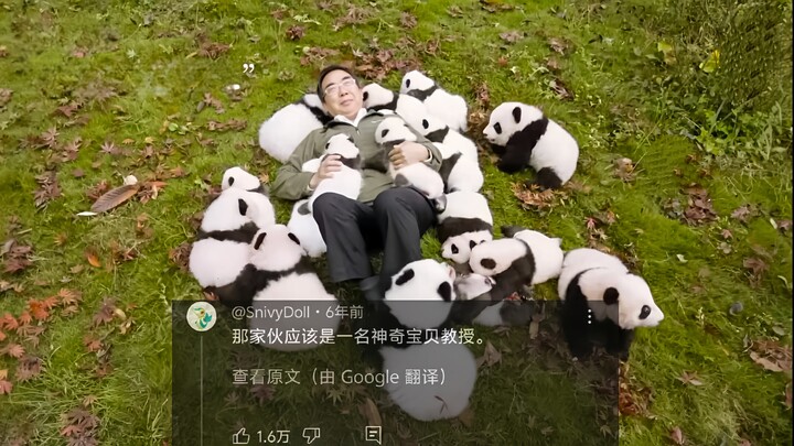 โลกออนไลน์ถกเถียงสนั่น! ศาสตราจารย์หมีแพนด้าของจีนถูกลูกแพนด้ารุมล้อม ยอดวิวทะลุ 12 ล้าน คนดูคอมเมนต