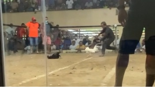 White Kelso Broodstag Win!