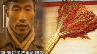 I stole and ate the broom; I request that the organization punish me!