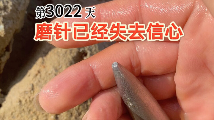 第3022天，今天感觉特别浮躁，43度的高温，已经完全对磨针失去了信心……
