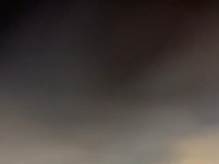 Chú mèo nhỏ dễ thương quá